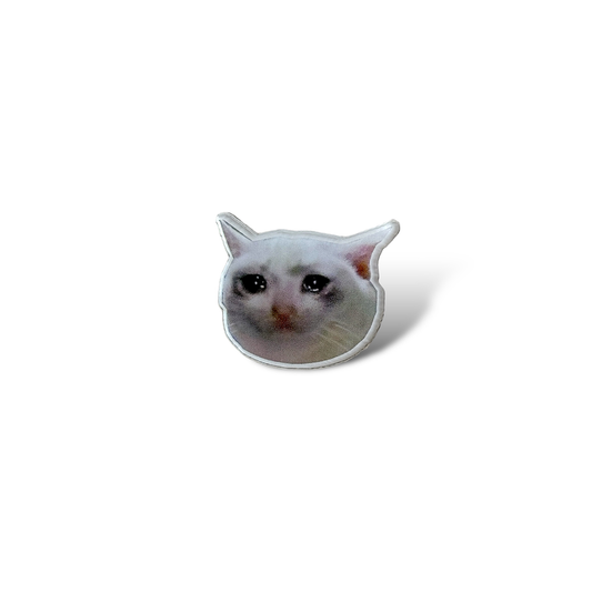 Sad Cat Acrylic Pin